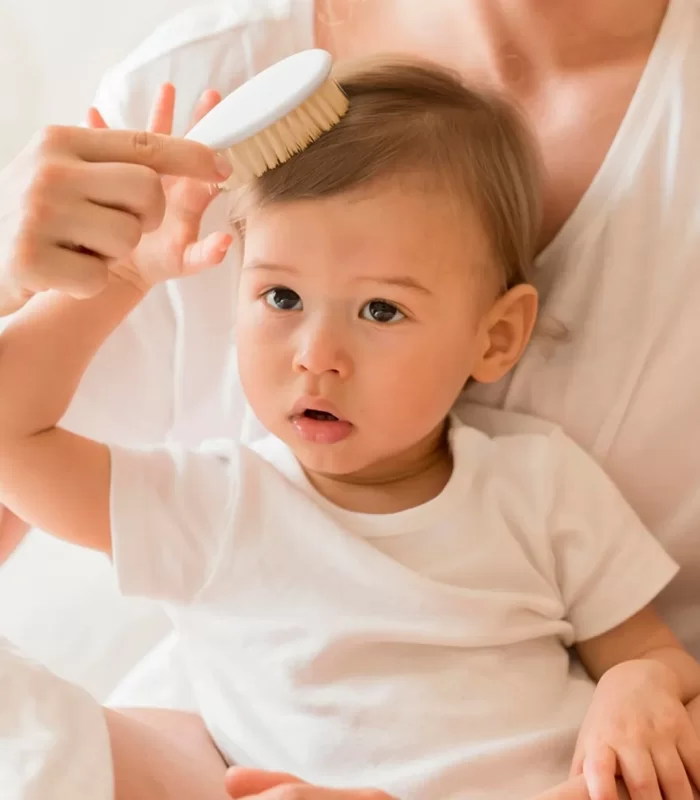 BabyJem Doğal Kıl Fırça Tarak Seti 519 Gri