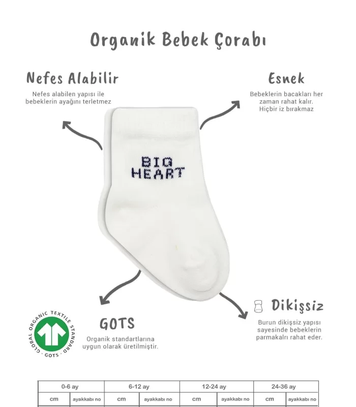 Bistyle 3lü Penye Soket Çorap Bs10110 İndigo