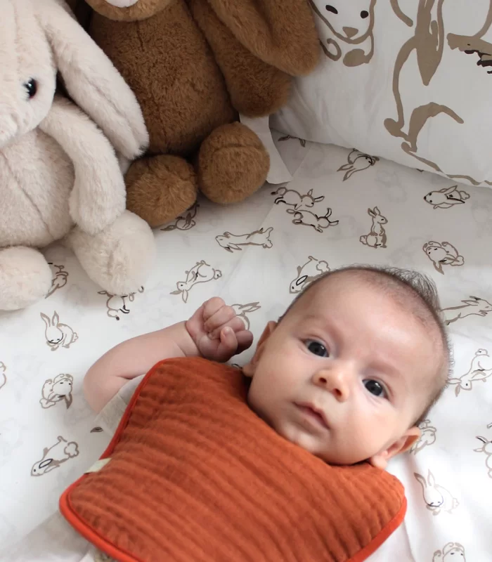 Bistyle Müslin Önlük 3Lü 60101 Kiremit Bej Hardal