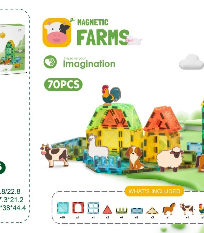 CH1506 5.5CM Magnetic Blok 70 PCS