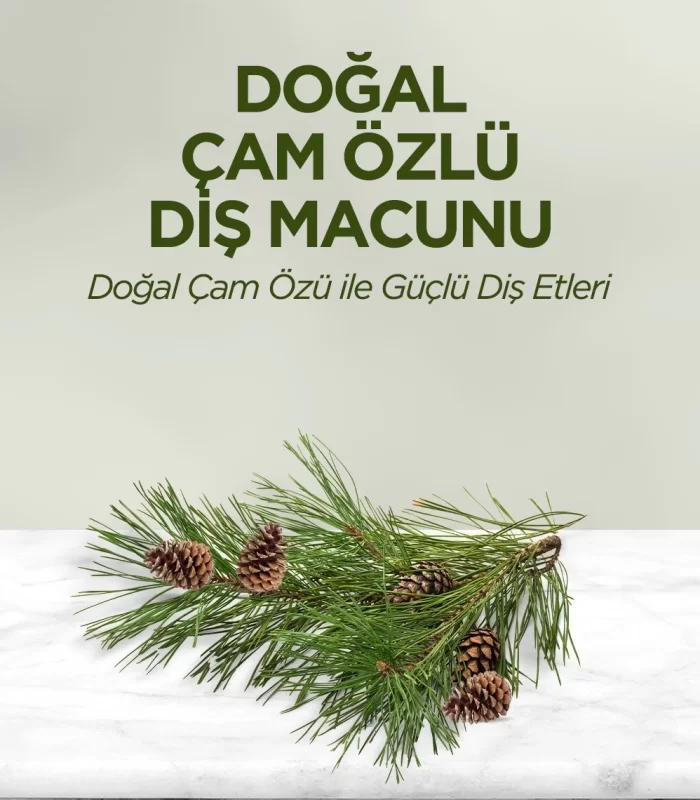 Eyüp Sabri Tuncer Doğal Diş Macunu 90 Gr Çam Özlü