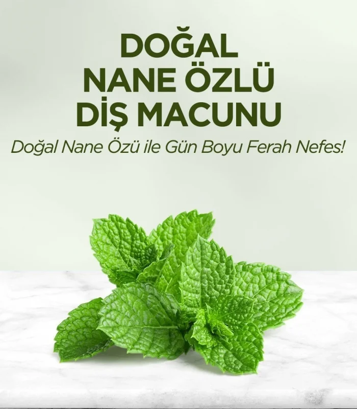 Eyüp Sabri Tuncer Doğal Diş Macunu 90 Gr Nane Özlü
