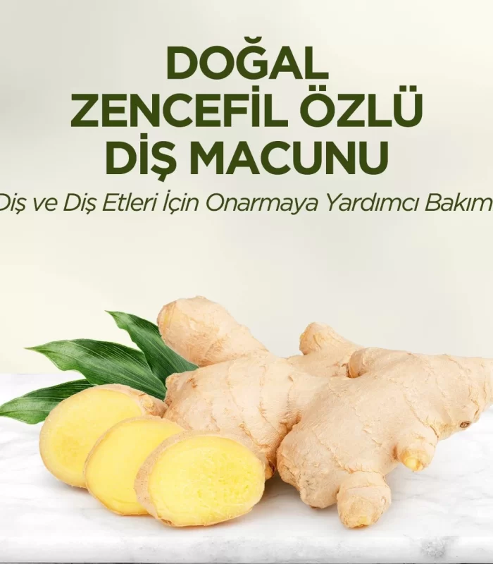 Eyüp Sabri Tuncer Doğal Diş Macunu 90 Gr Zencefil Özlü