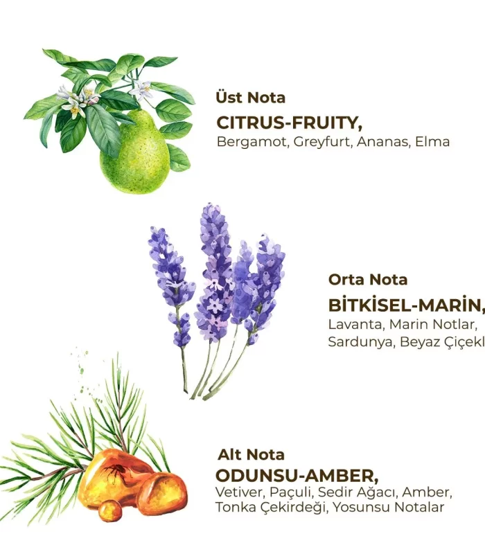Eyüp Sabri Tuncer Erkek Roll On Deodorant 75 Ml Active