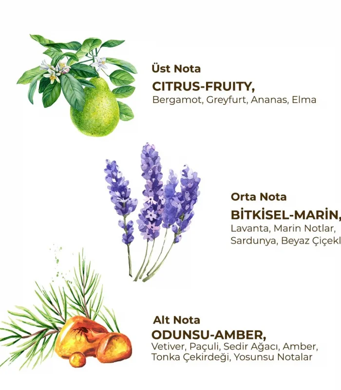 Eyüp Sabri Tuncer Erkek Roll On Deodorant 75 Ml Active