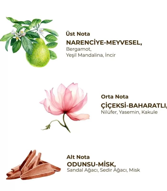 Eyüp Sabri Tuncer Kadın Roll On Deodorant 75 Ml Active