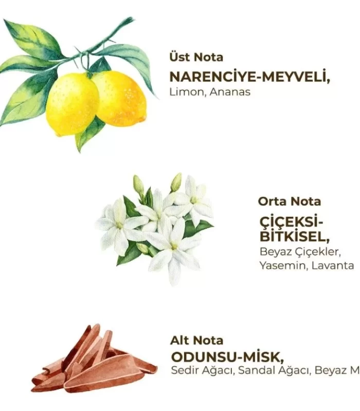 Eyüp Sabri Tuncer Kadın Roll On Deodorant 75 Ml Fresh