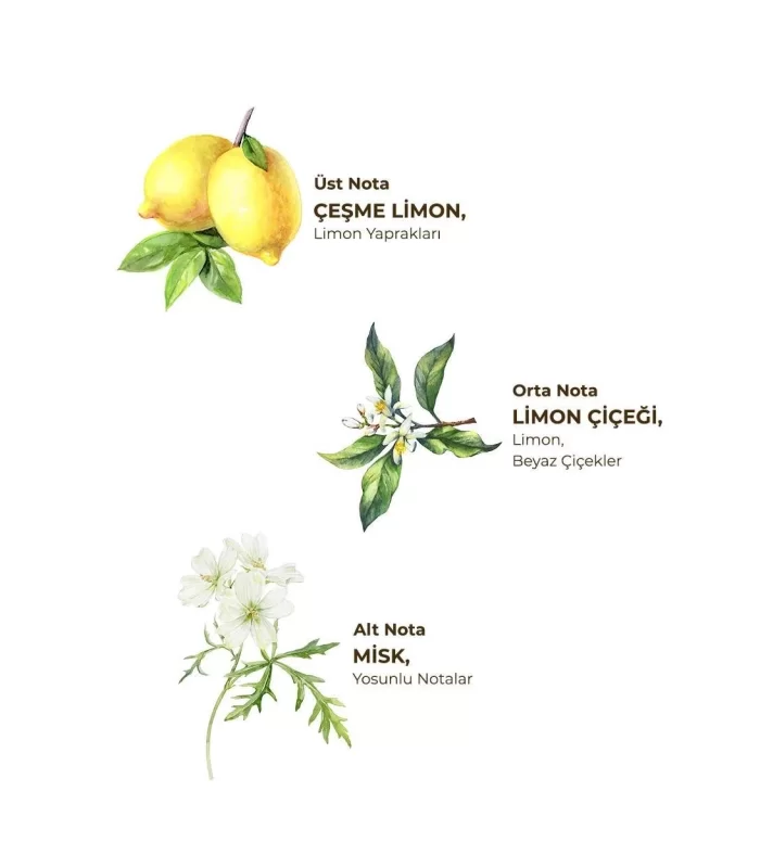 Eyüp Sabri Tuncer Kolonya Pet Şişe Sprey 150 ml Çeşme Limonu