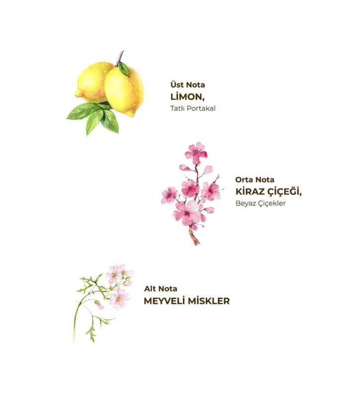 Eyüp Sabri Tuncer Kolonya Pet Şişe Sprey 150 Ml Japon Kirazı Çiçeği