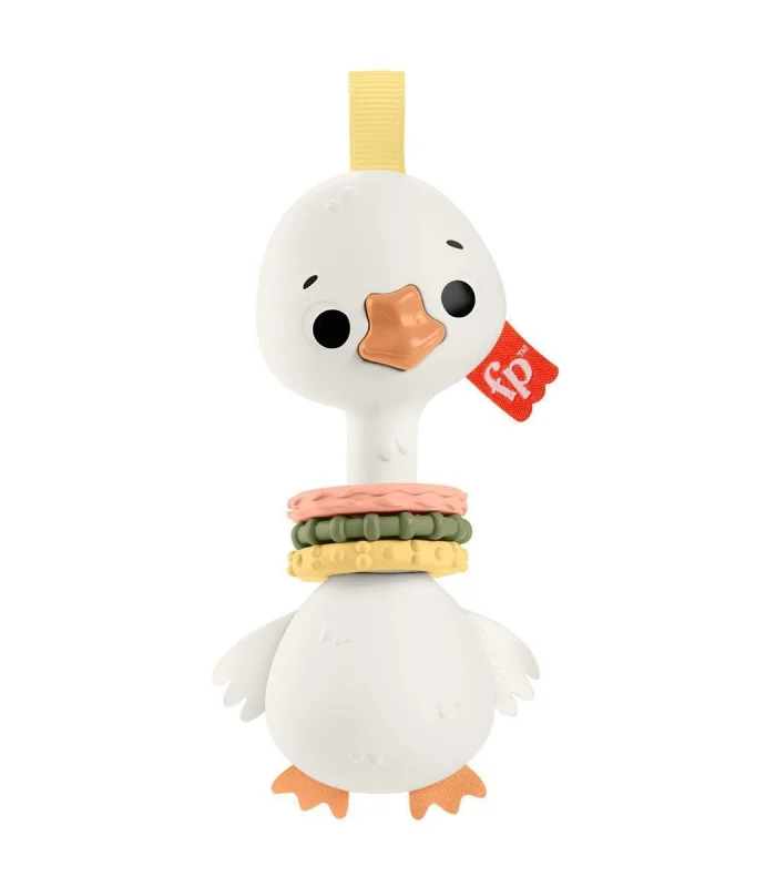 HRB19 Fisher-Price Sensimals Dişlik Seti