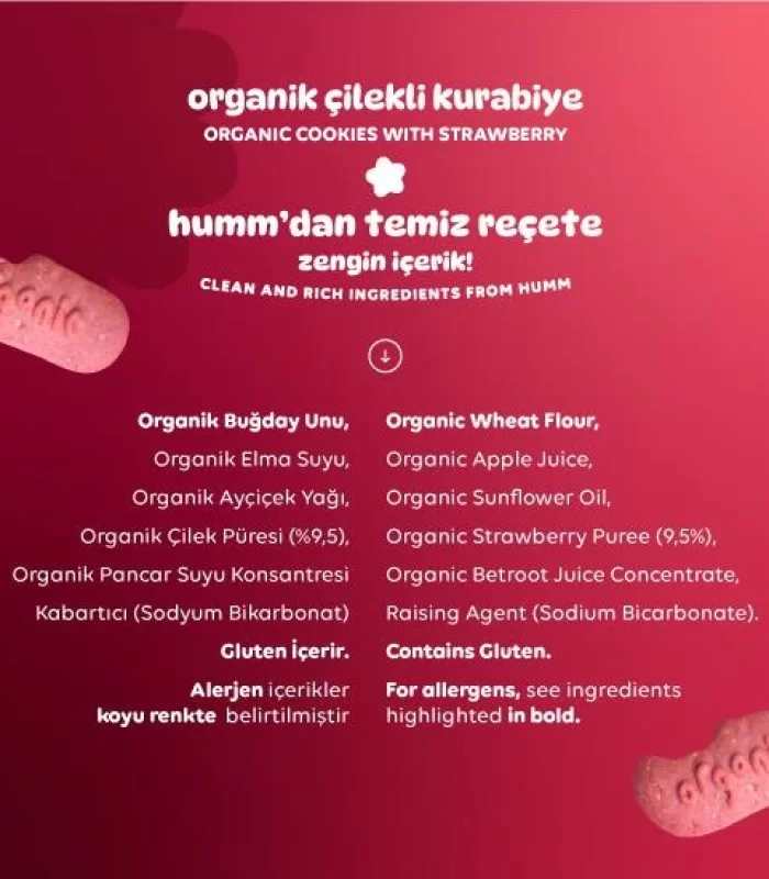 Humm Organik Vegan Çilekli Kurabiye 55 Gr