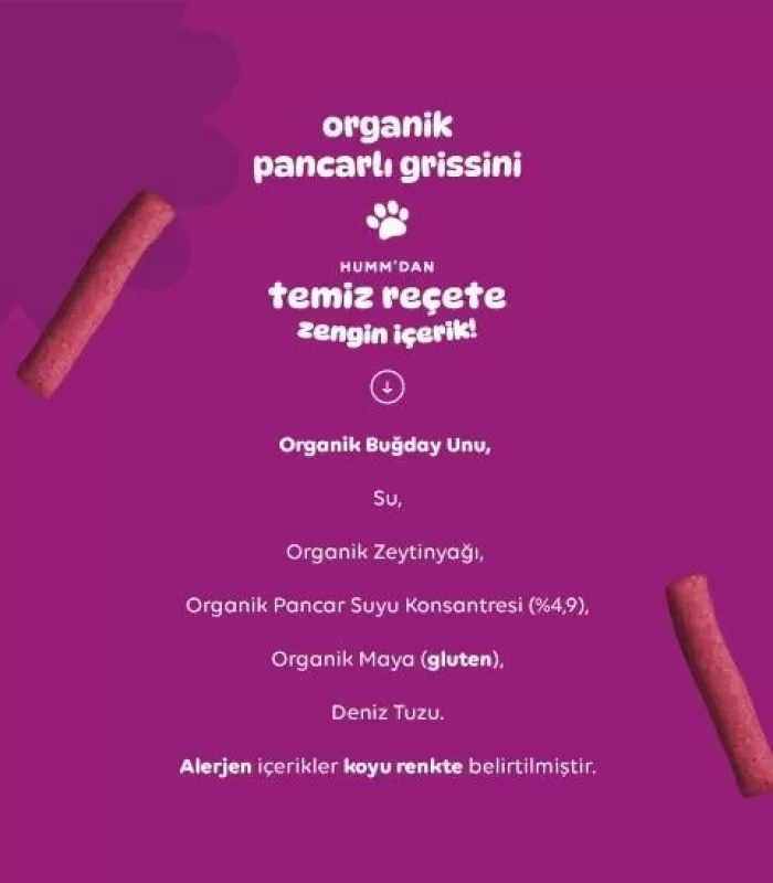 Humm Organik Vegan Pancarlı Grissini 55 Gr