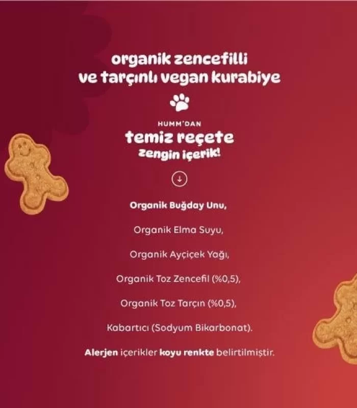 Humm Organik Zencefilli ve Tarçınlı Vegan Kurabiye 55 Gr