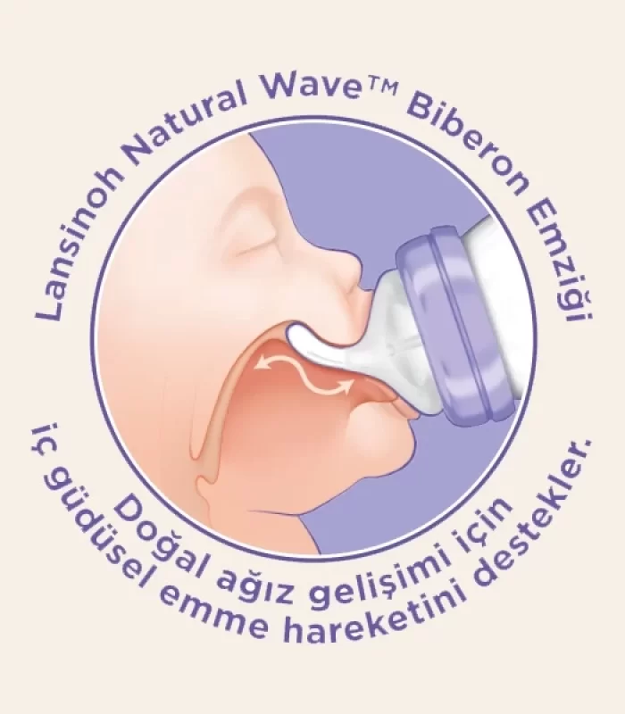 Lansinoh Biberon 2li Natural Wawa Biberon Emziği 240 Ml