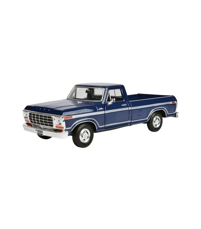 MM-79646 1 24 1979 GORD F-100 CUSTOM