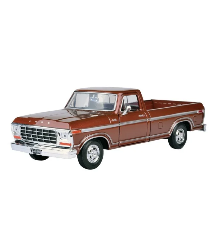 MM-79646 1 24 1979 GORD F-100 CUSTOM