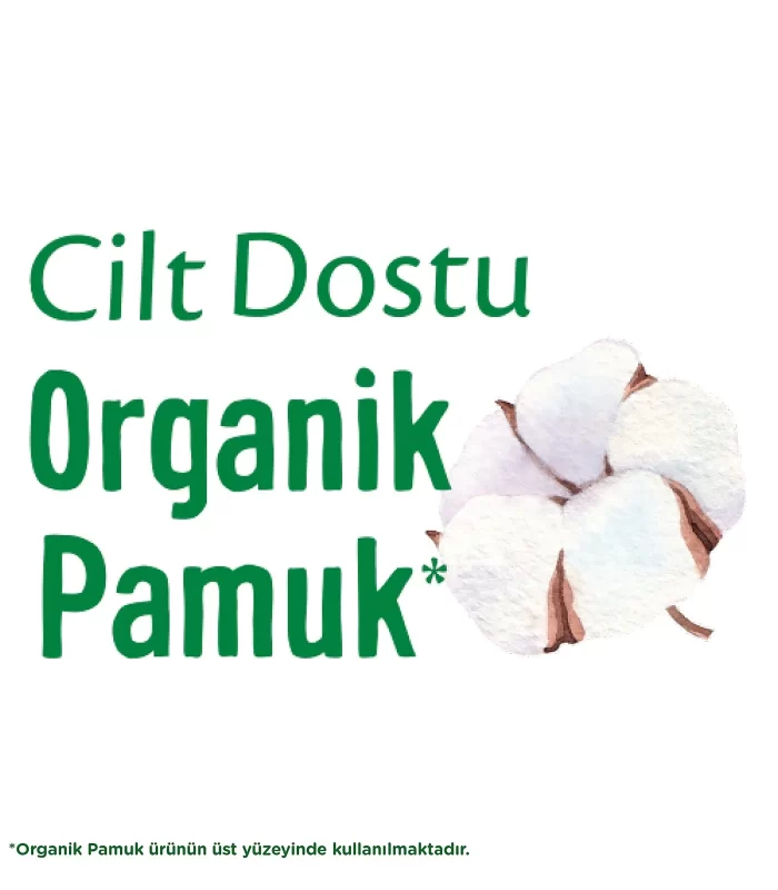 Molped Pure&Soft Normal Ped Süper Eko 24 Adet