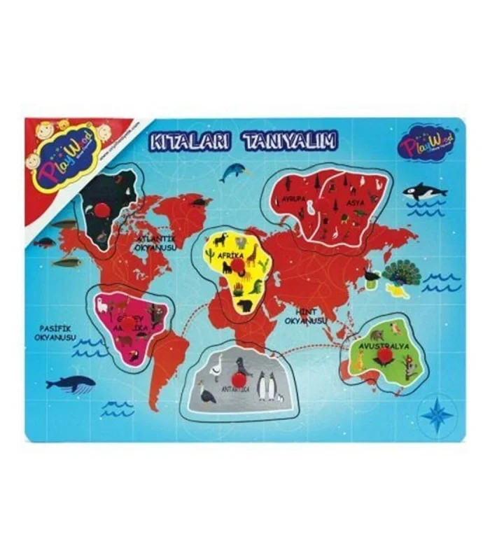 ONY-204-205 AHŞAP TUTMALI KIKTALARI VE BÖLGELERİ