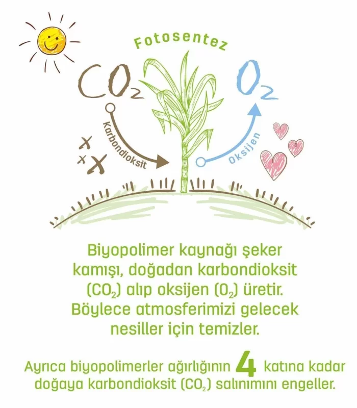 Sleepy Bio Natural Islak Havlu Mendil 3x40 120 Yaprak