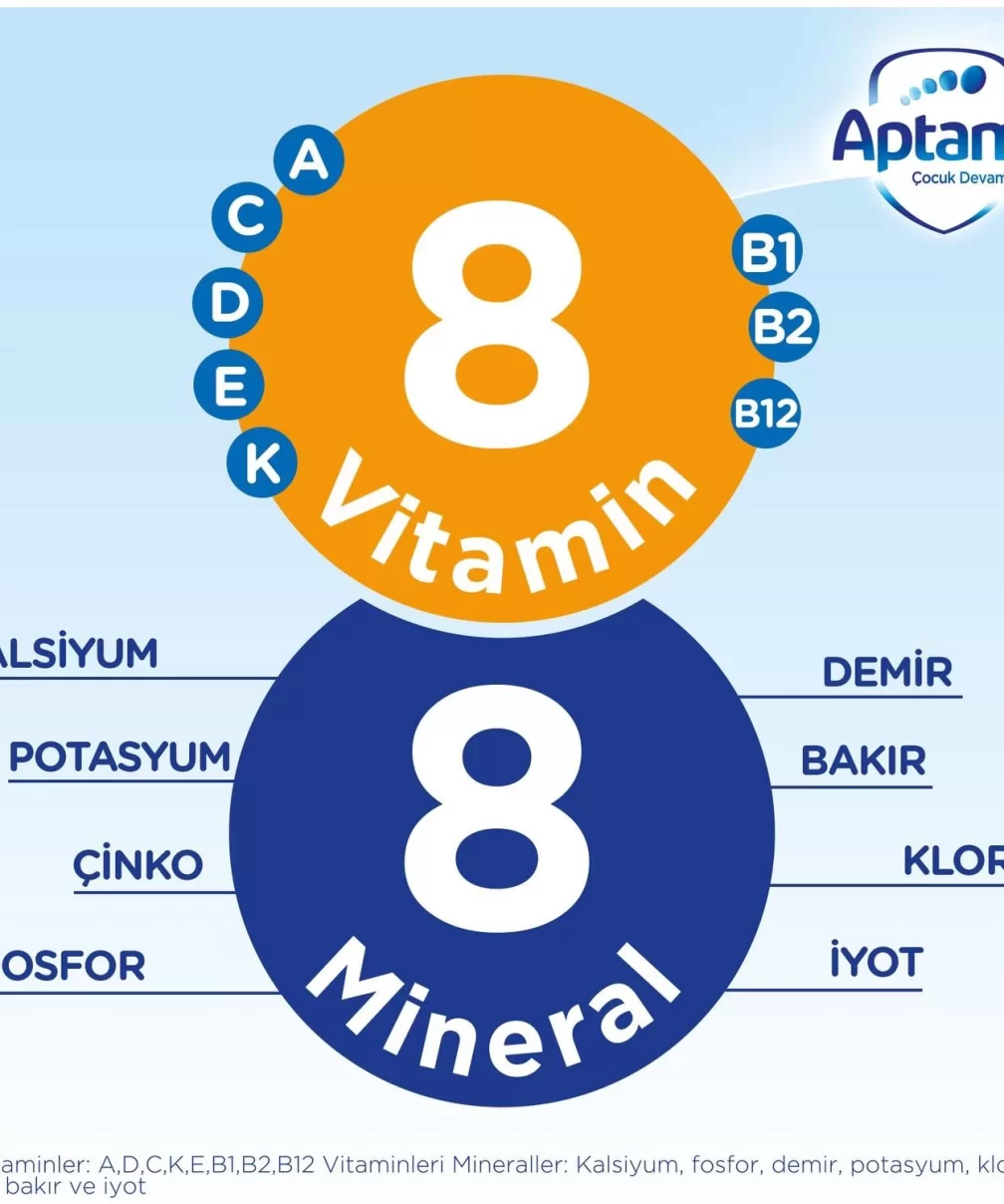 Aptamil Bebek Sütü Maması No1 0-6 Ay 1200 Gr