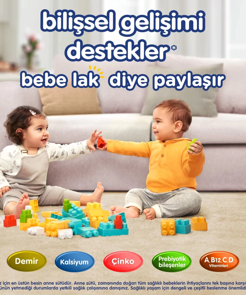 Bebelac Bebek Devam Sütü No2 250 Gr