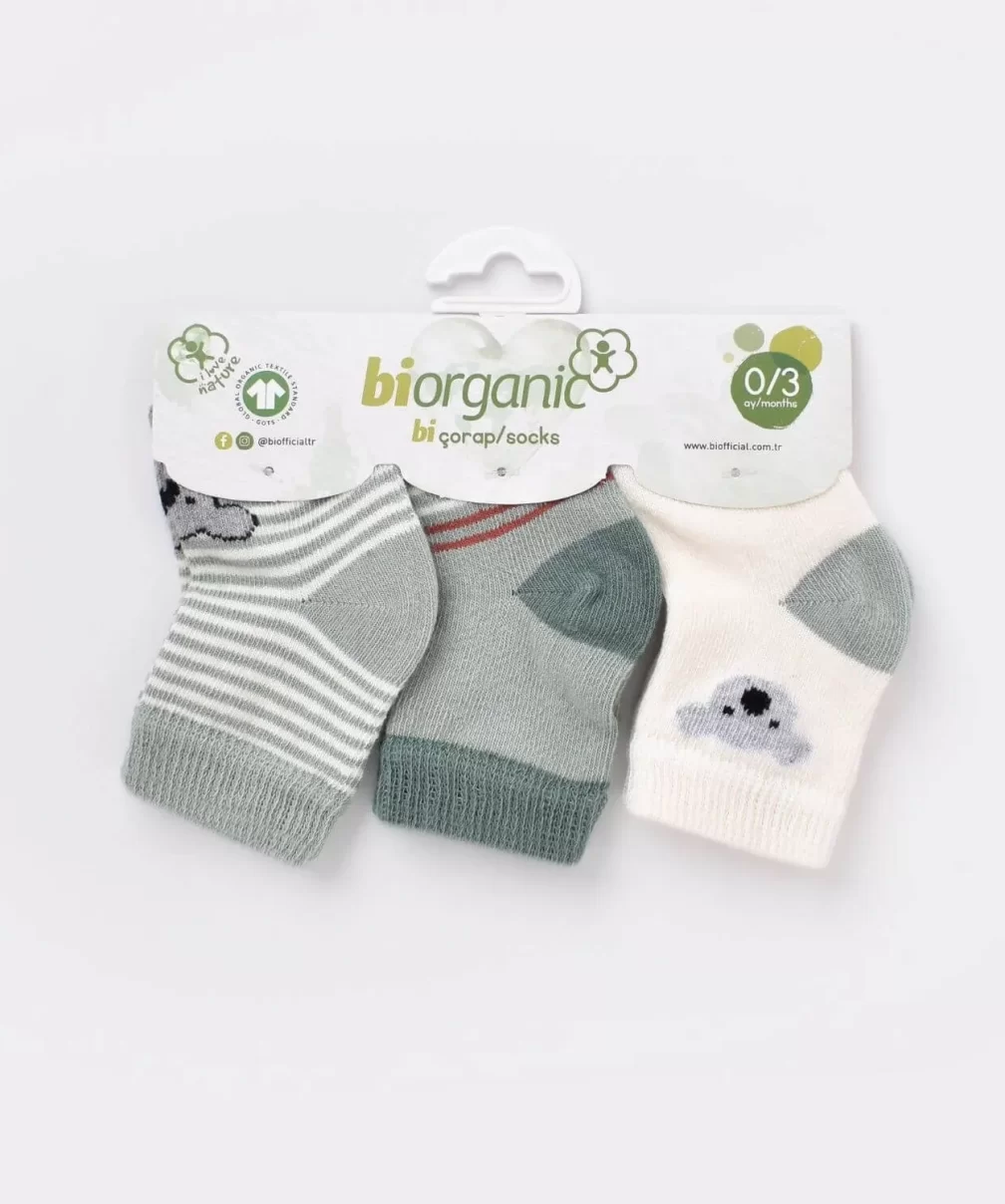 Bibaby Biorganic Koala Erkek 3Lü Çorap 68449 Nil