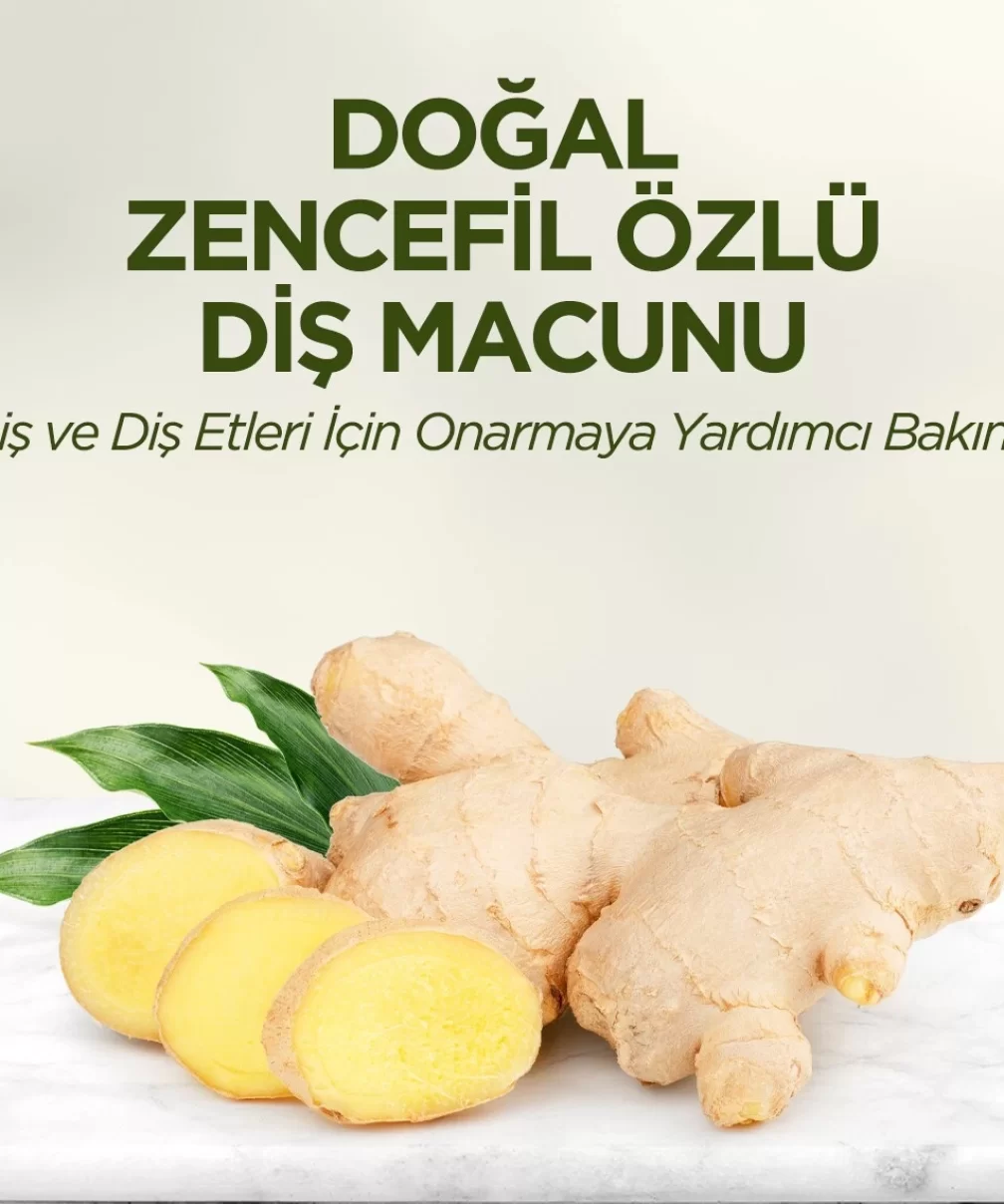 Eyüp Sabri Tuncer Doğal Diş Macunu 90 Gr Zencefil Özlü