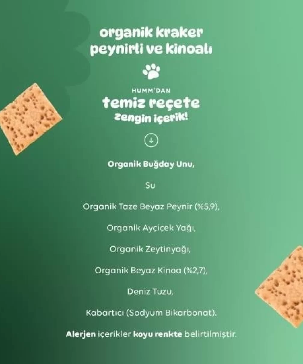 Humm Organik Peynirli Kinoalı Kraker 60 Gr