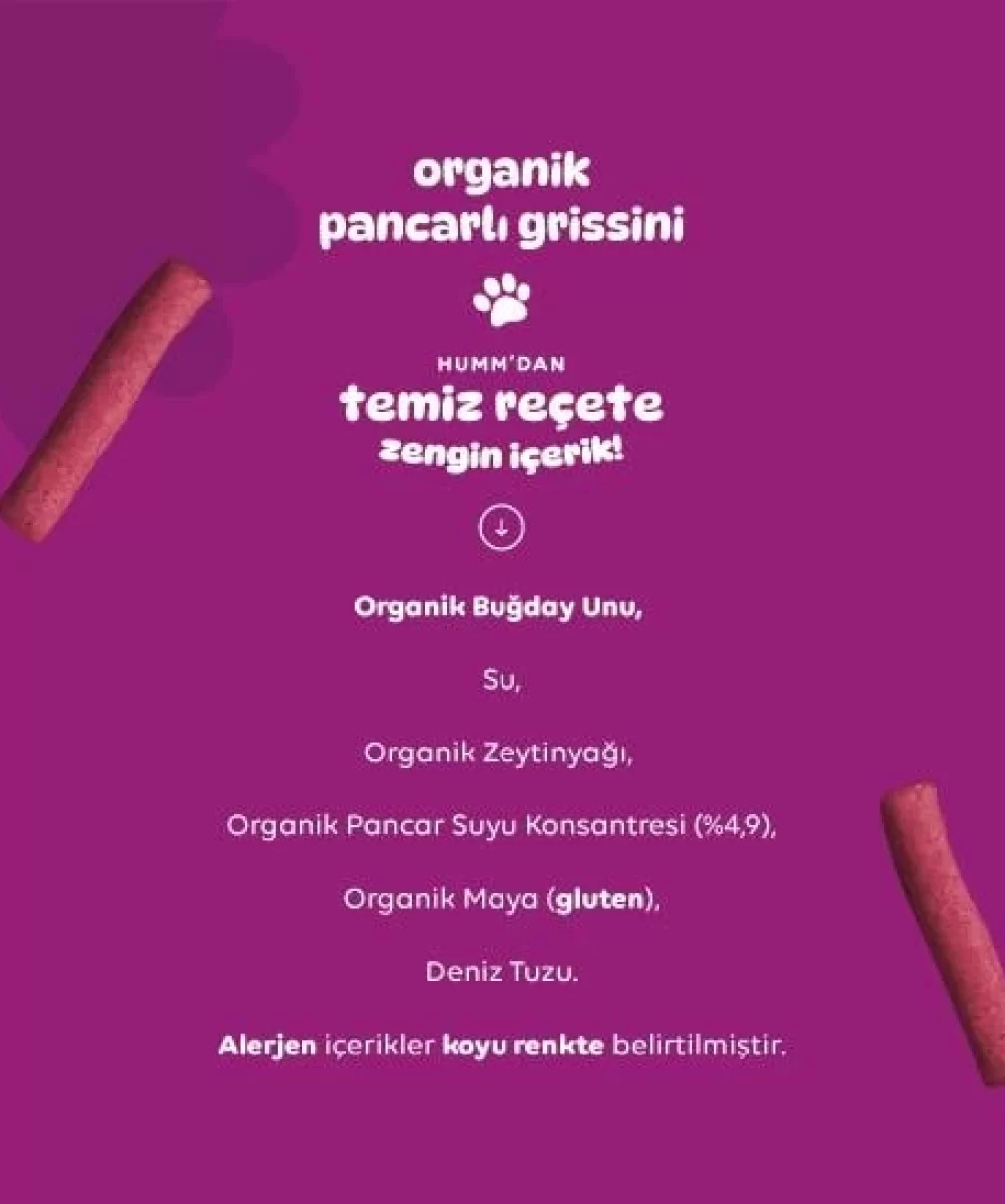 Humm Organik Vegan Pancarlı Grissini 55 Gr