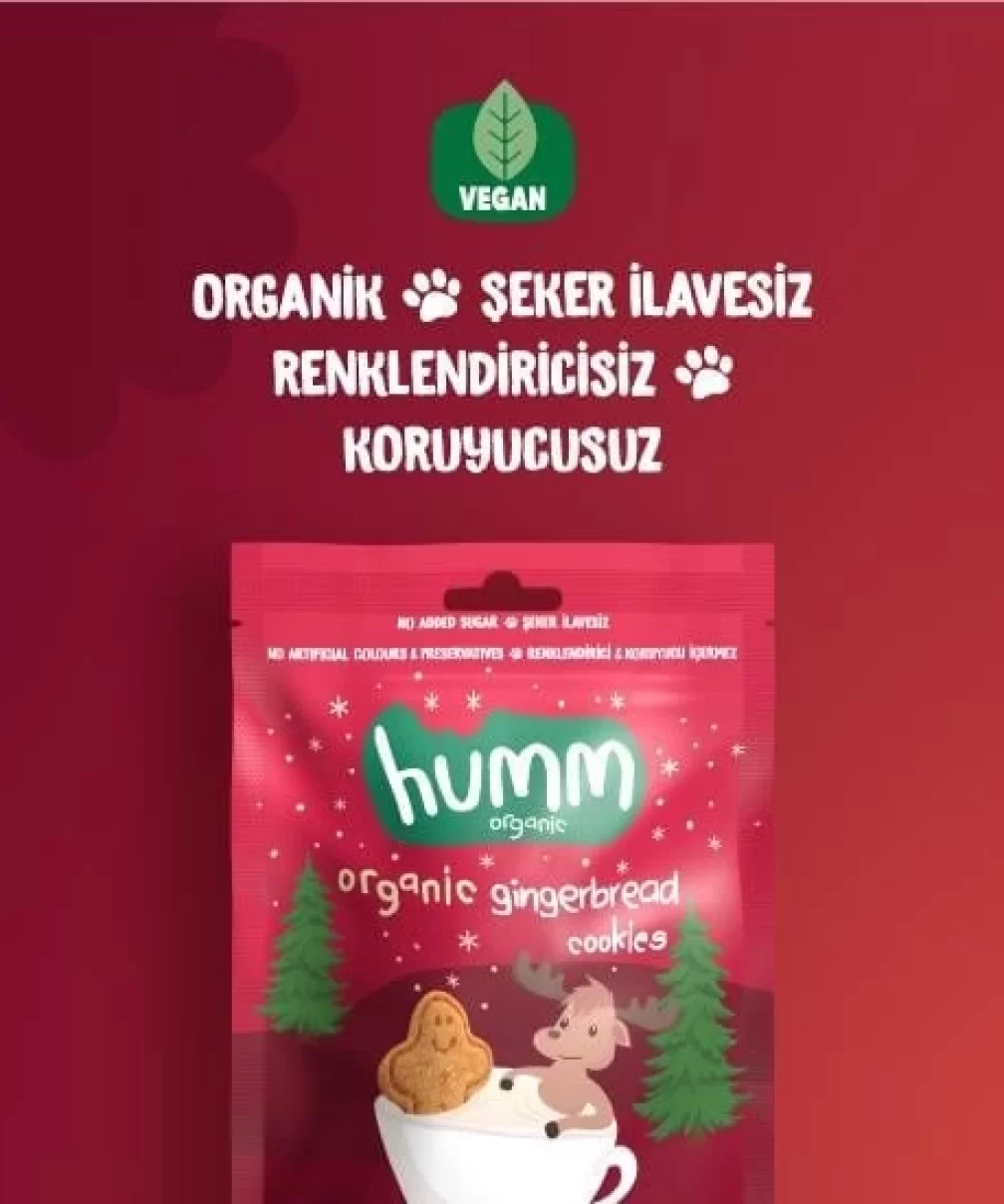 Humm Organik Zencefilli ve Tarçınlı Vegan Kurabiye 55 Gr