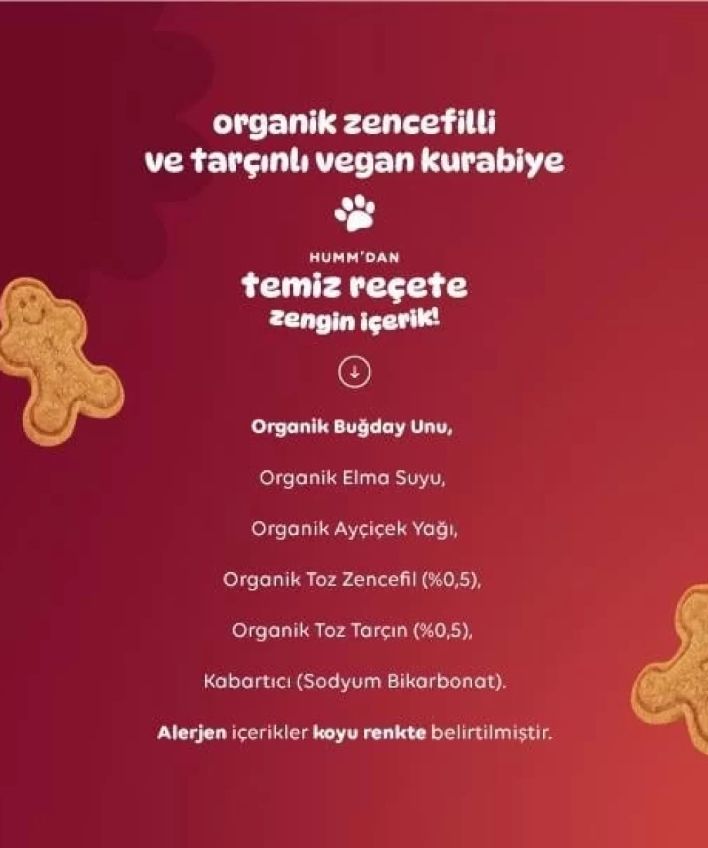 Humm Organik Zencefilli ve Tarçınlı Vegan Kurabiye 55 Gr