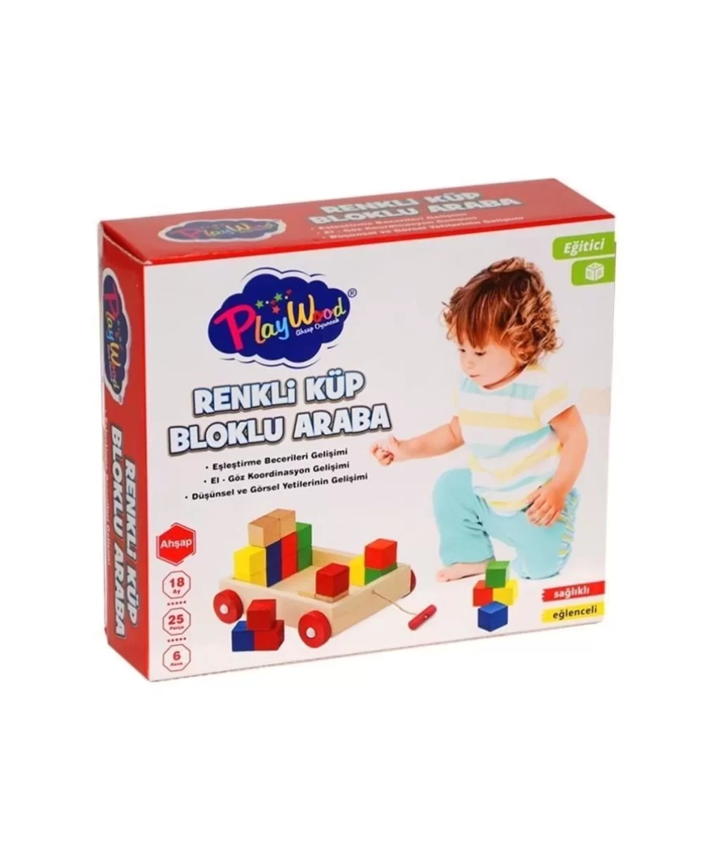 PlayWood Ahşap Renkli Küp Bloklu Araba 312