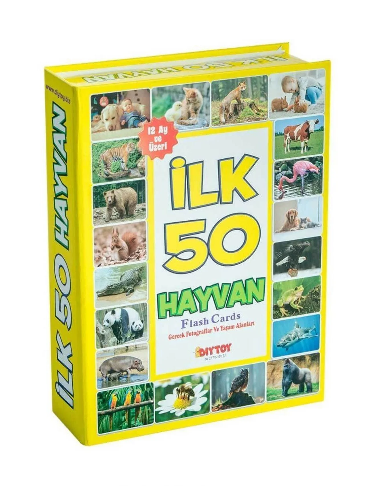 1352 F.CARDS İLK 50 HAYVAN