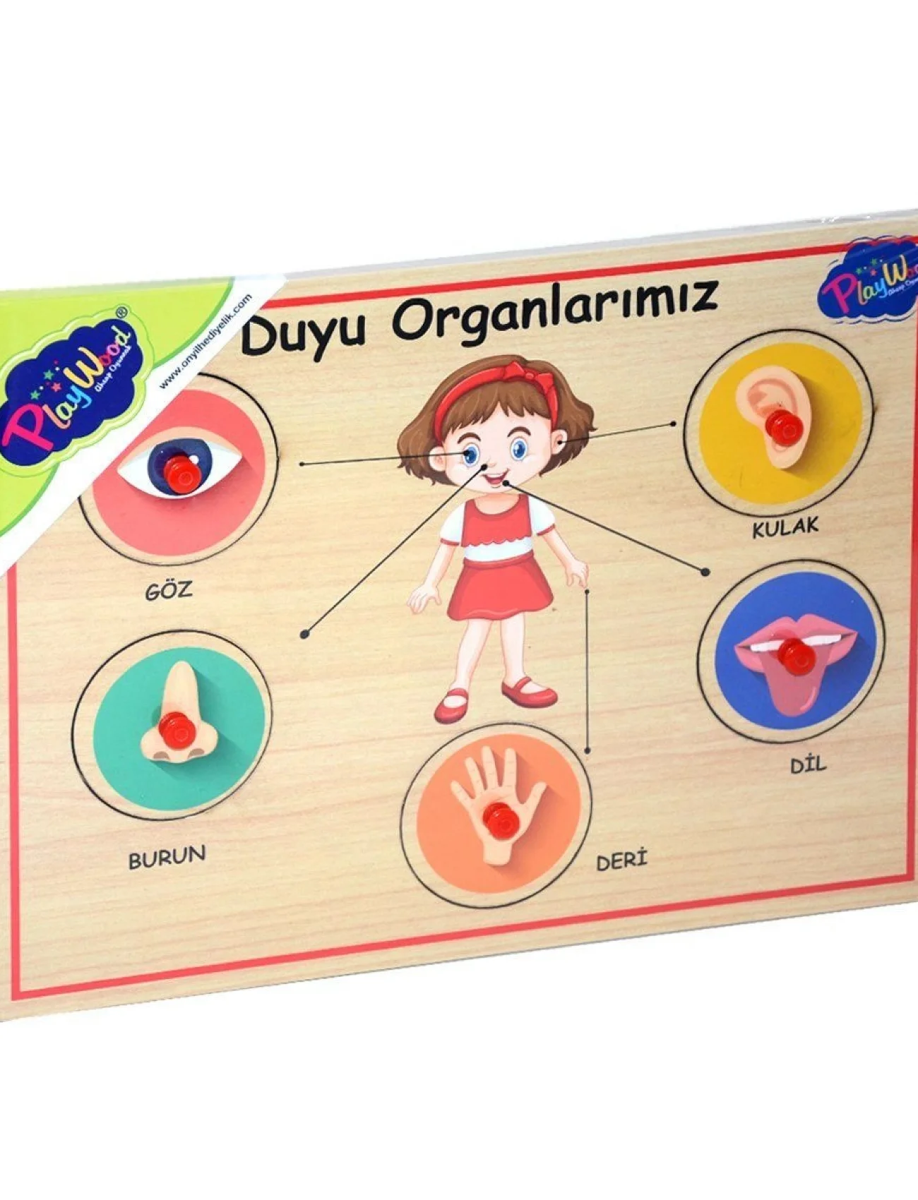166/167 Onyıl, Ahşap Tutmalı Organlar