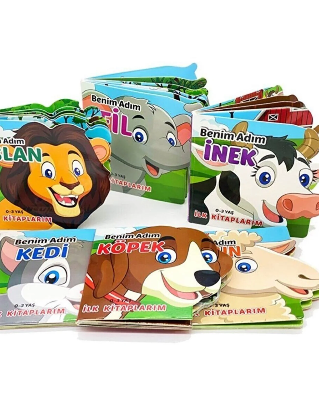 2188 Dıytoy, Ben Kim Hayvanlar 6Lı Eğitim Seti