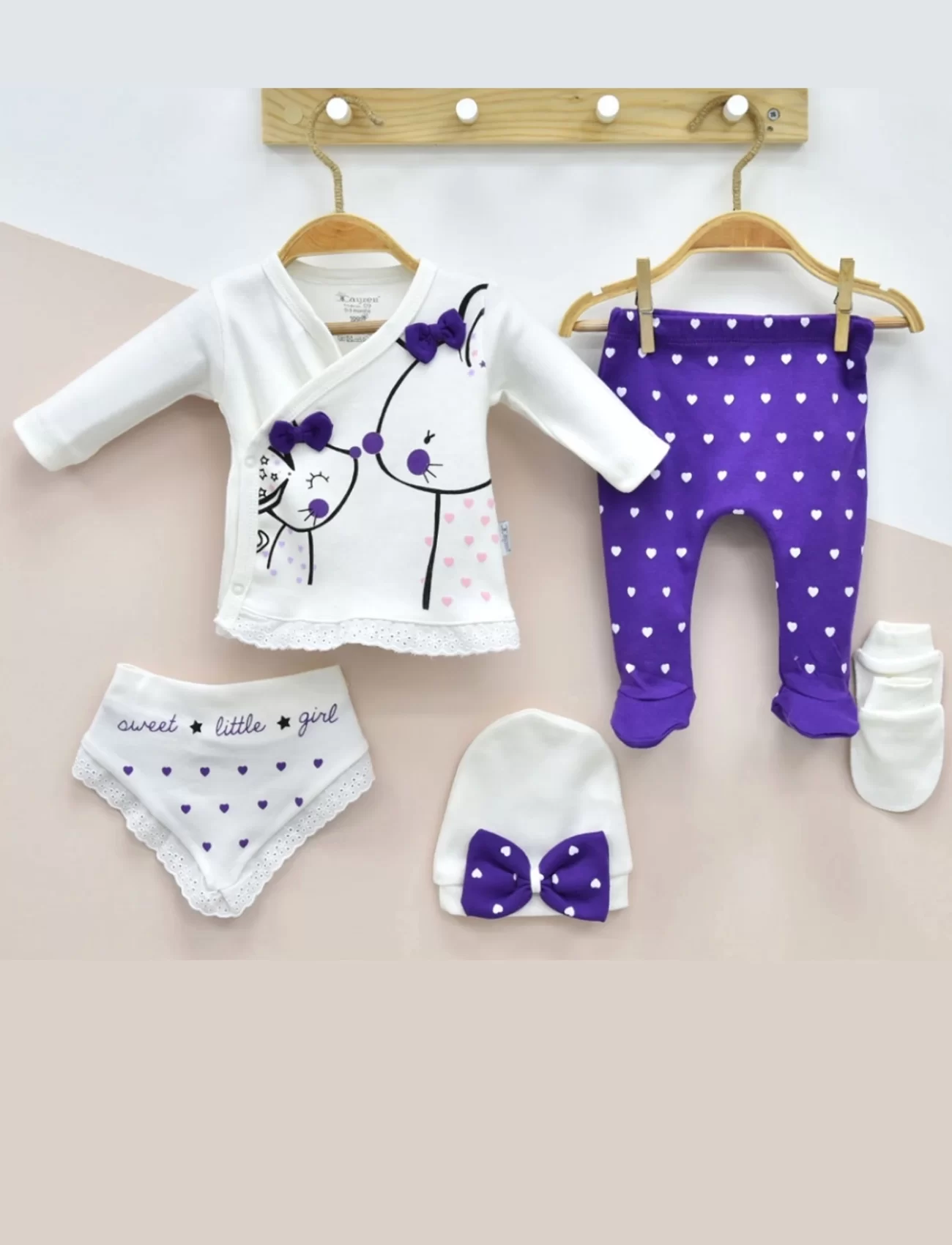 3 Ay Kız Bebek Little Mause 5li Hastane Çıkış Seti Mor