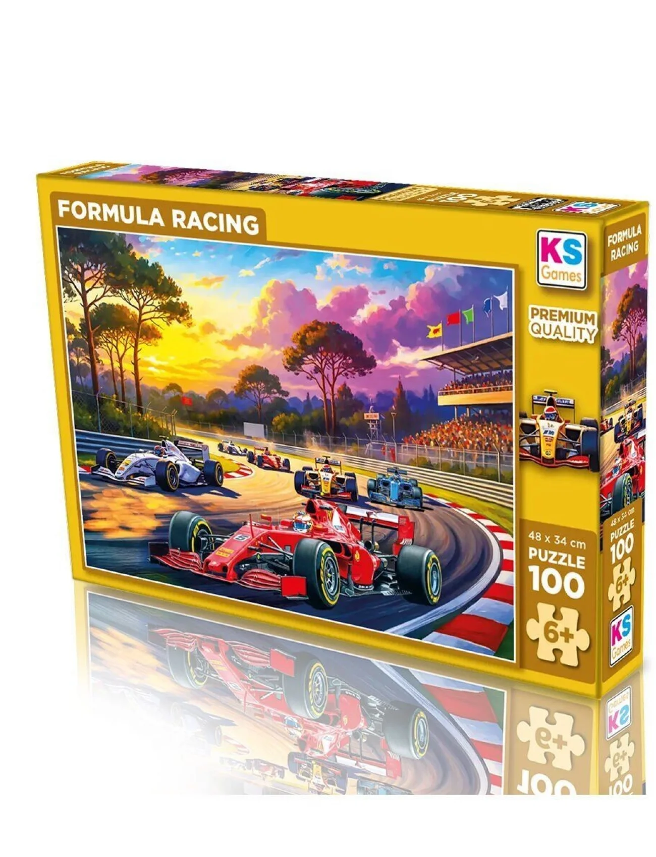 31505 FORMULA RACING 100 PARÇA PUZZLE