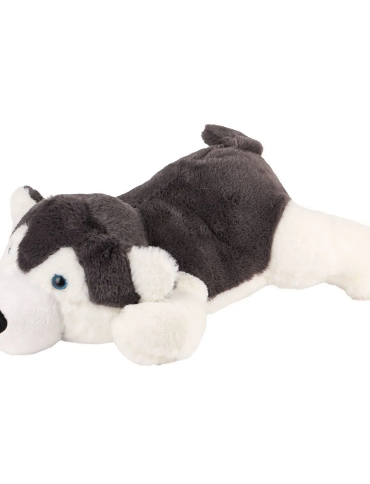 4640 Sibirya Kurdu 45 cm-EMY Grup