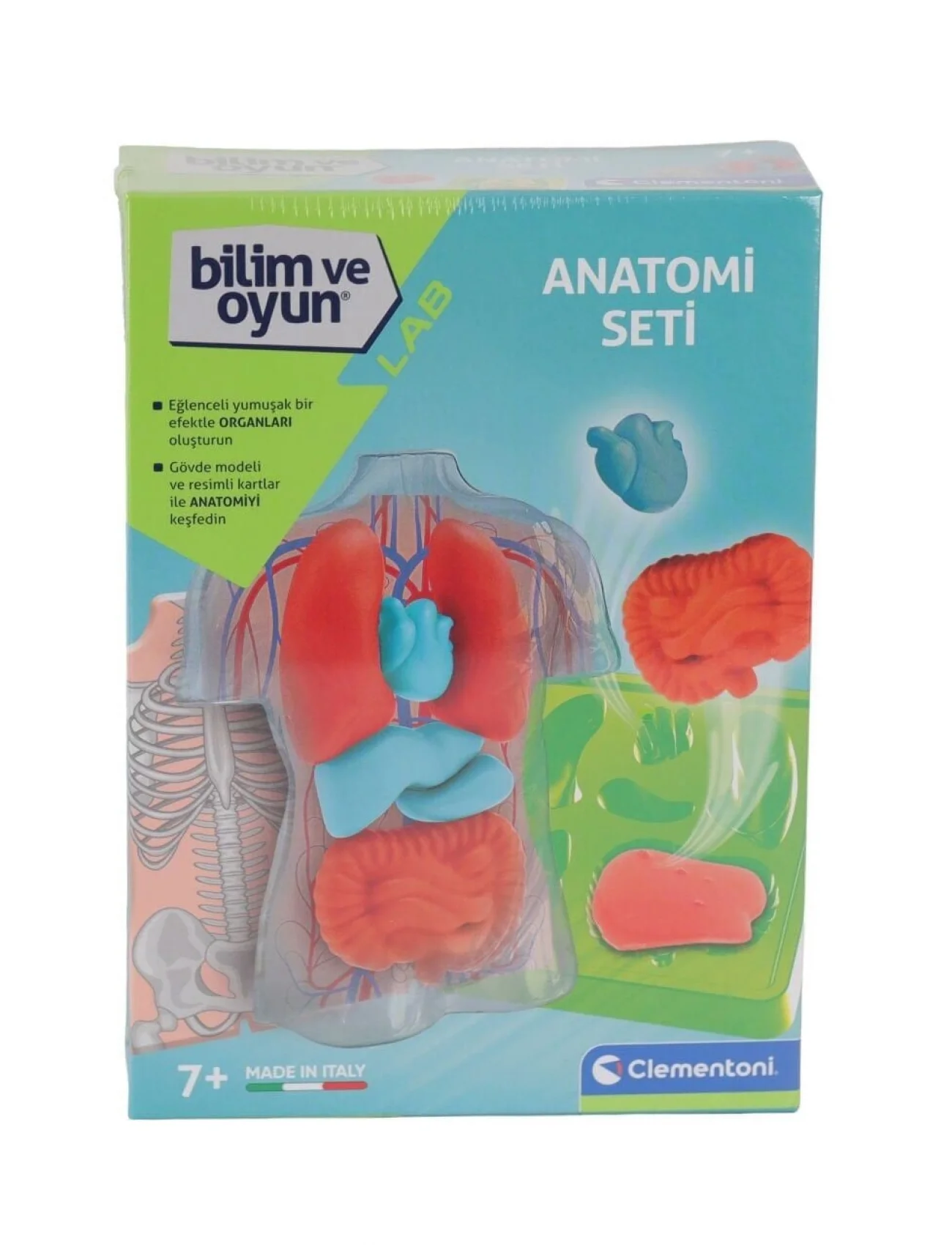 64742 Bilim ve Oyun - Anatomi Seti