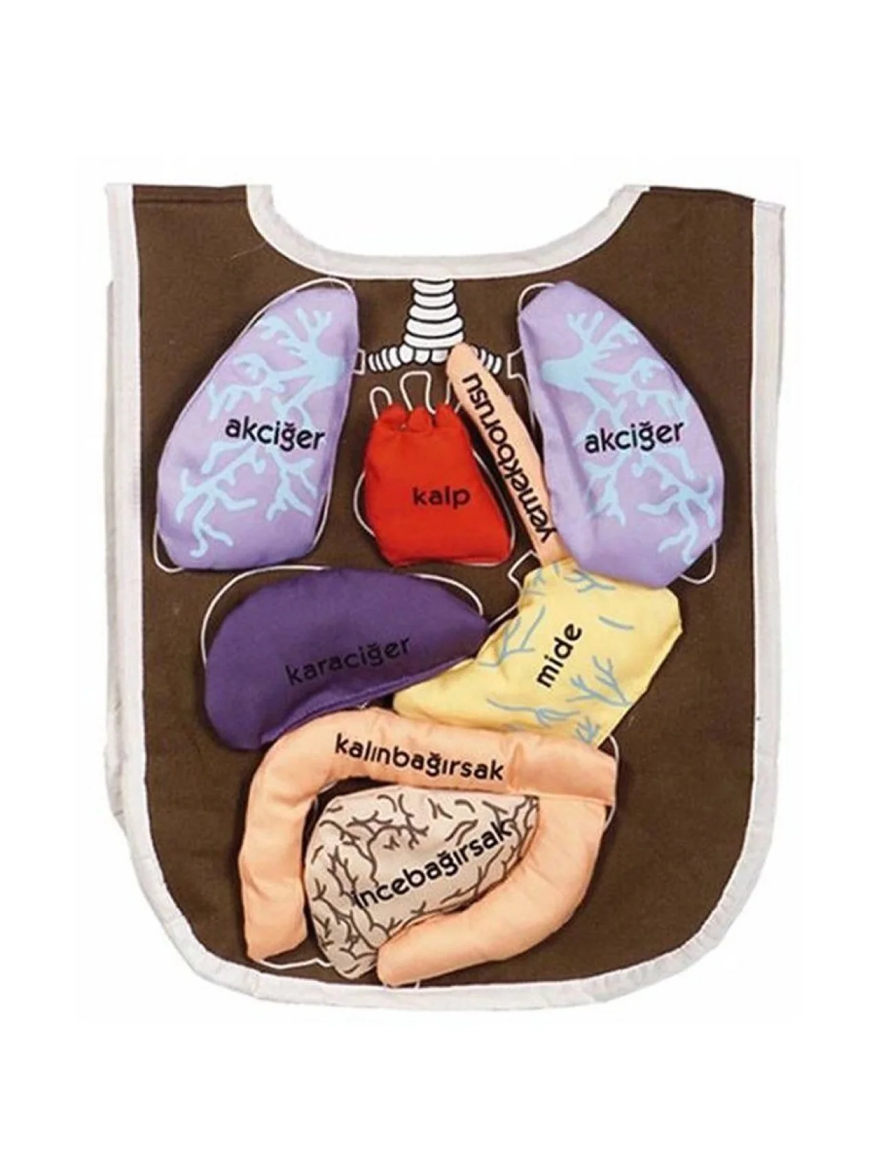 AND-5011 ORGAN ÖNLÜĞÜ