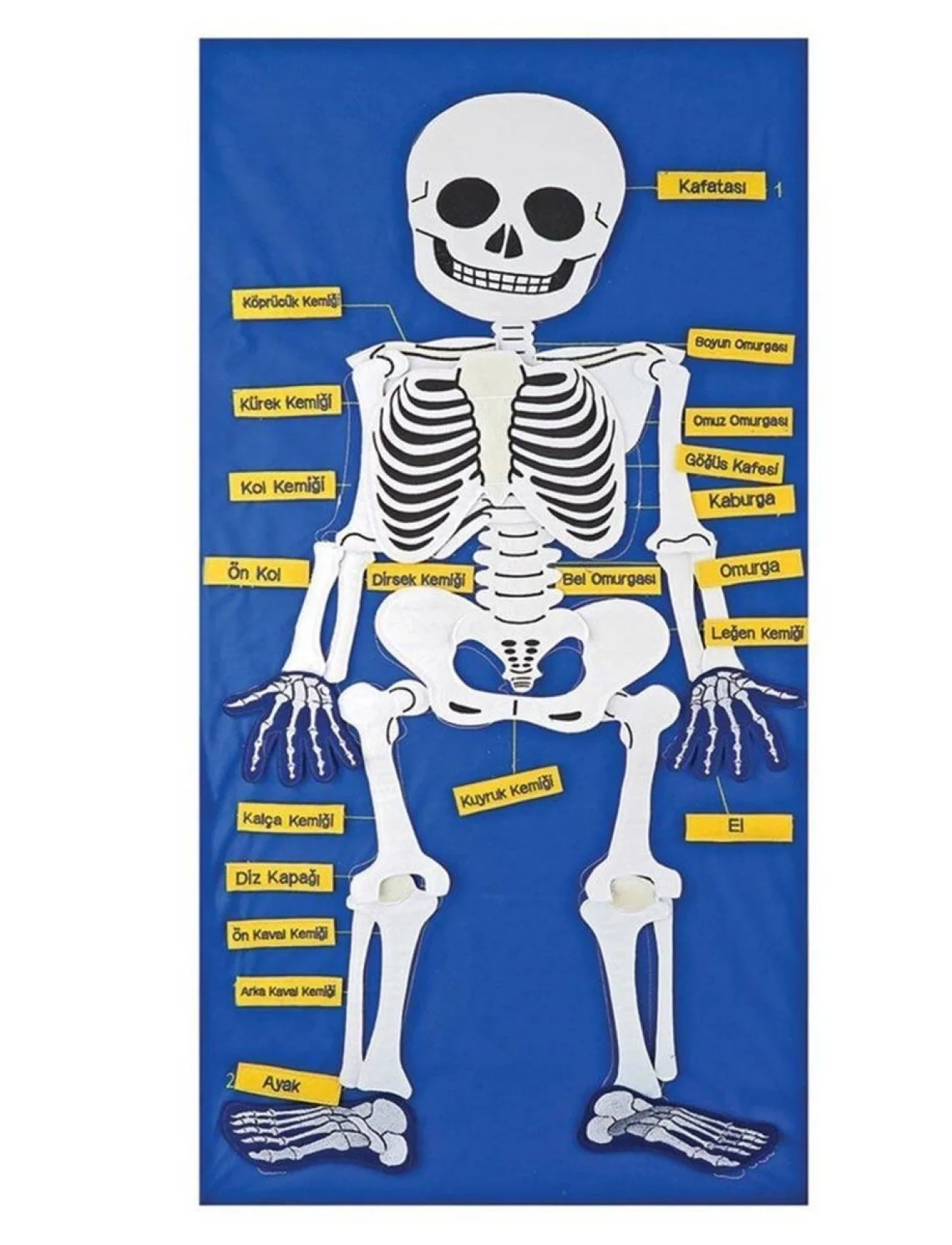 AND-9150 CIRTLI İSKELET PANO 5119