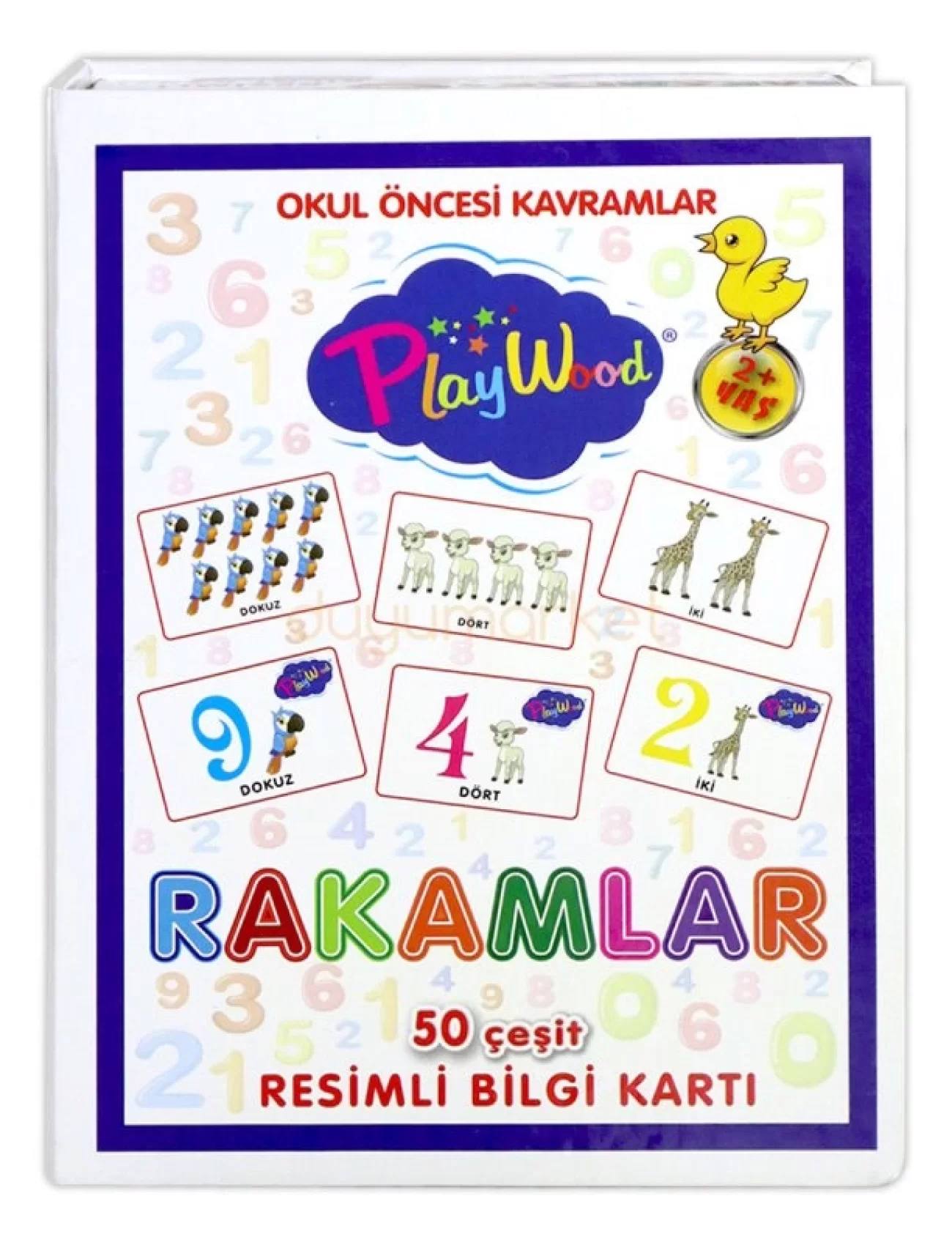 PlayWood Eğitici Resimli Bilgi Kartları Rakamlar 27