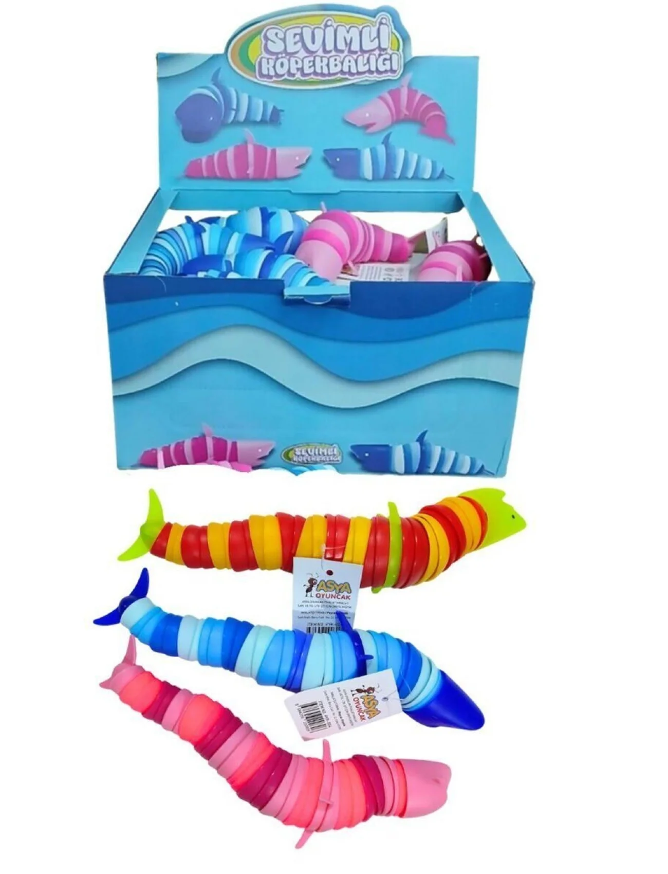 PYR004 BÜYÜK KÖPEK BALIĞI