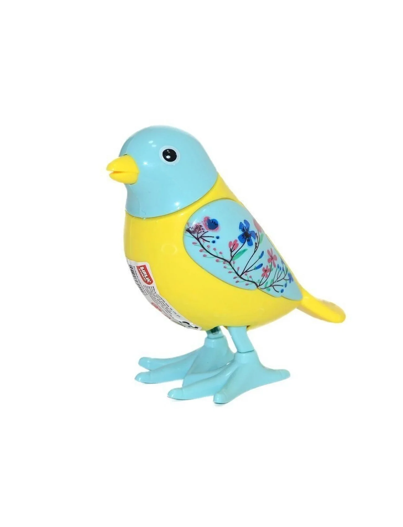 URT005-07 KURMALIGİLLER KUŞ