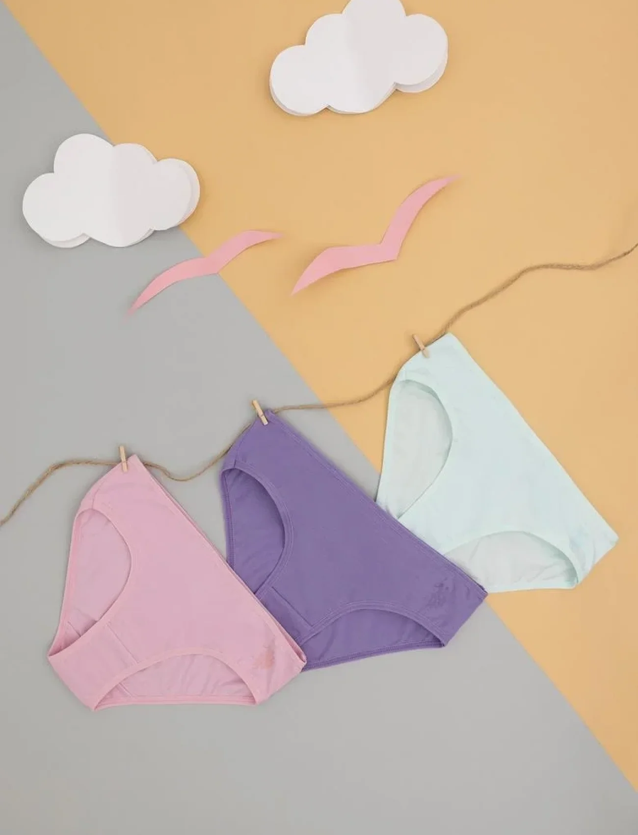 U.S. Polo Kız Çocuk Slip Külot 1678 Nil