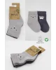 Bistyle Bear Penye Soket Çorap 2Li BS10116 Gri