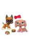 0726 SUN-BSF-LPS-FİGÜR SET MİNİŞLER KIŞ DOSTLARI 2Lİ 2A 6D