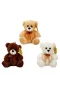 0998 SUN-JHN-PFF-SK PELUŞ AYI OTURAN KURDELELİ 21CM 2R