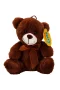 0998 SUN-JHN-PFF-SK PELUŞ AYI OTURAN KURDELELİ 21CM 2R