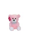 1181 Selay, Oturan Ayı Pembe 30 cm